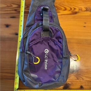 Purple and Gray Sling Bag